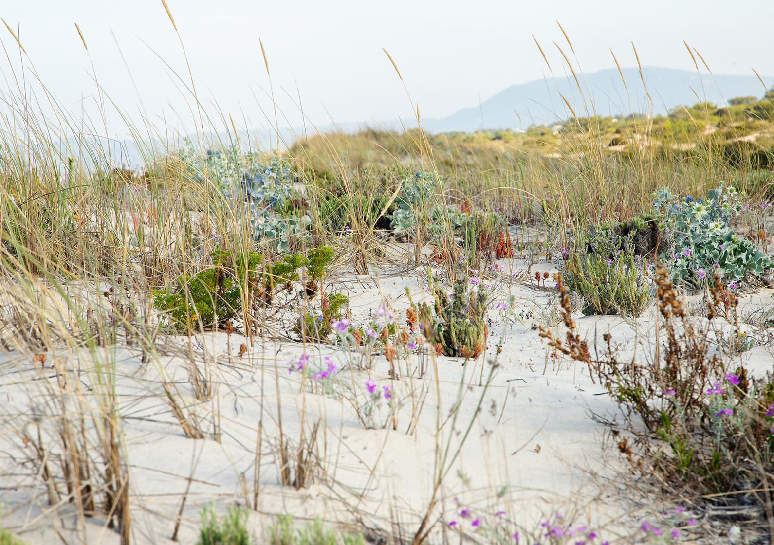 O Na Praia é um hotel em perfeita sintonia com o lugar que habita, respeitando o ecossistema discreto que dá forma à paisagem.